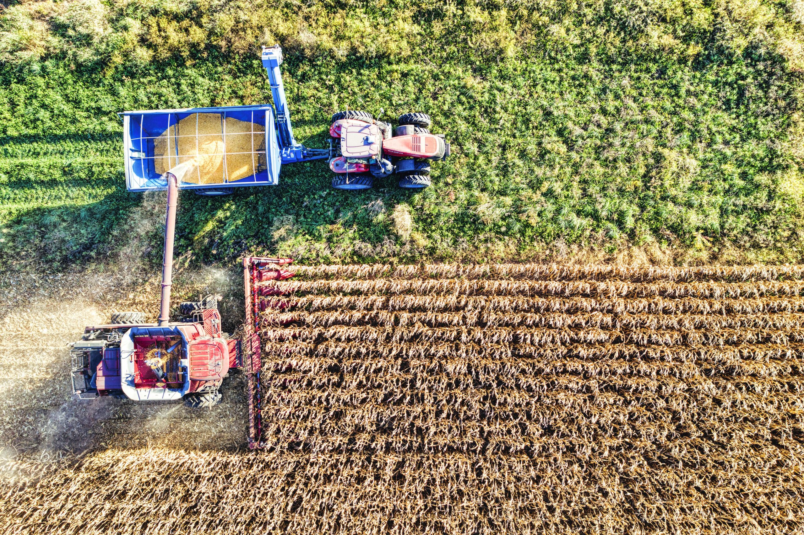 Agriculture & Industrie Drone captures a vivid scene of harvesting crops in Minnesota with a combine and tractor.